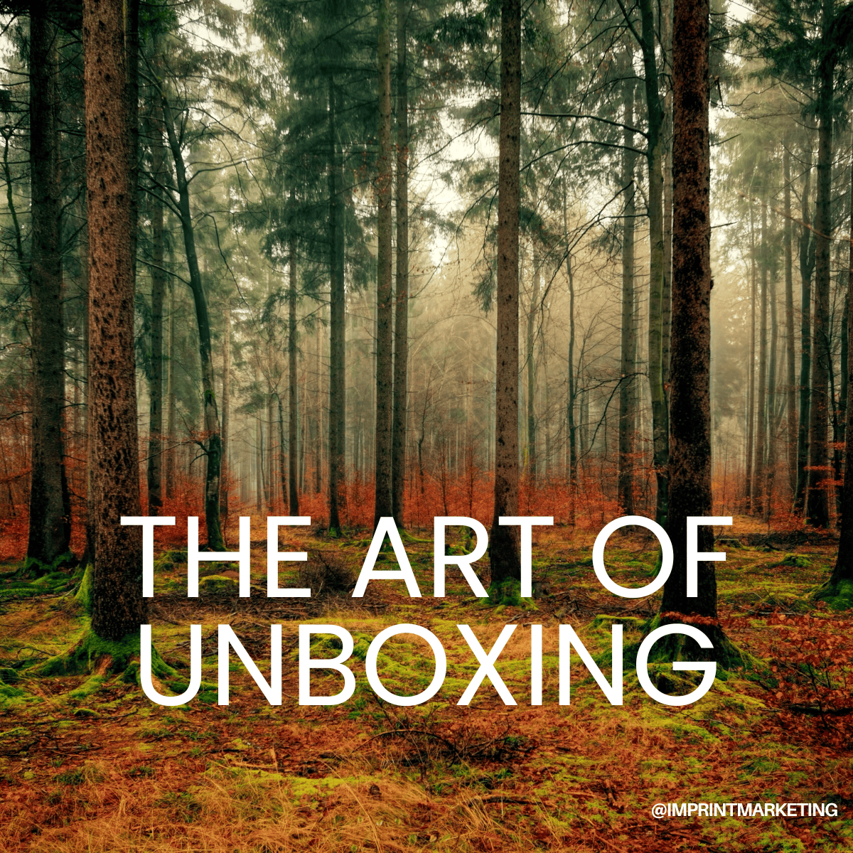 The Art of Unboxing